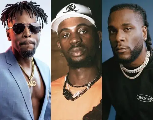 Burna Boy Called Out For Not Fulfilling His Promise To Take Black Sherif On Tour 20